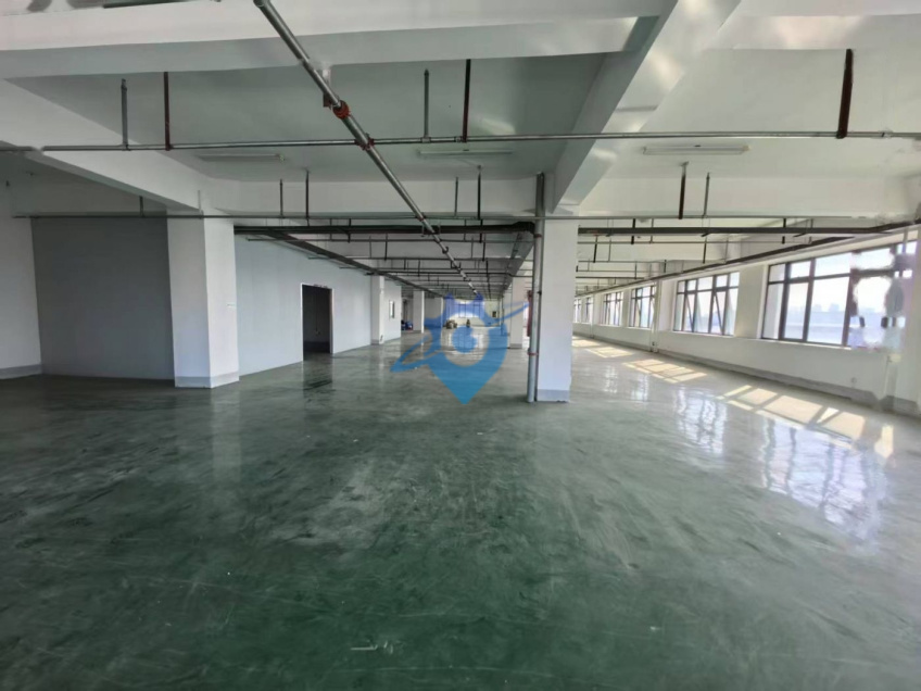 新站标准厂房300至920平,可分租,地坪已做办公室已隔