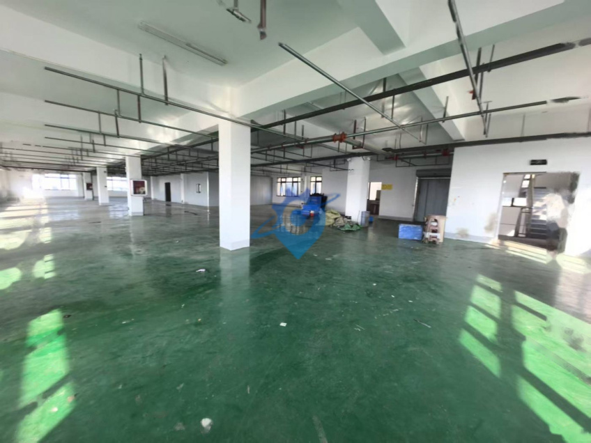 新站标准厂房300至920平,可分租,地坪已做办公室已隔