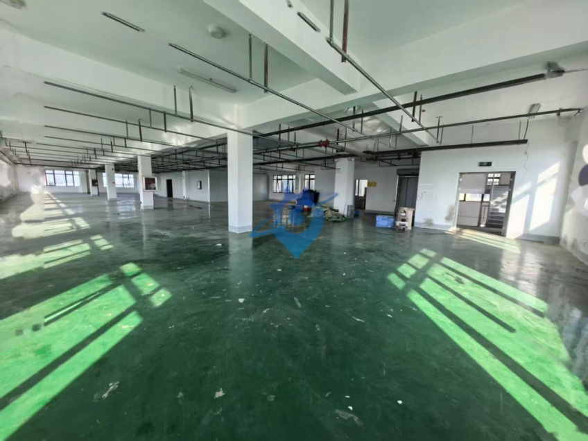 新站标准厂房300至920平,可分租,地坪已做办公室已隔