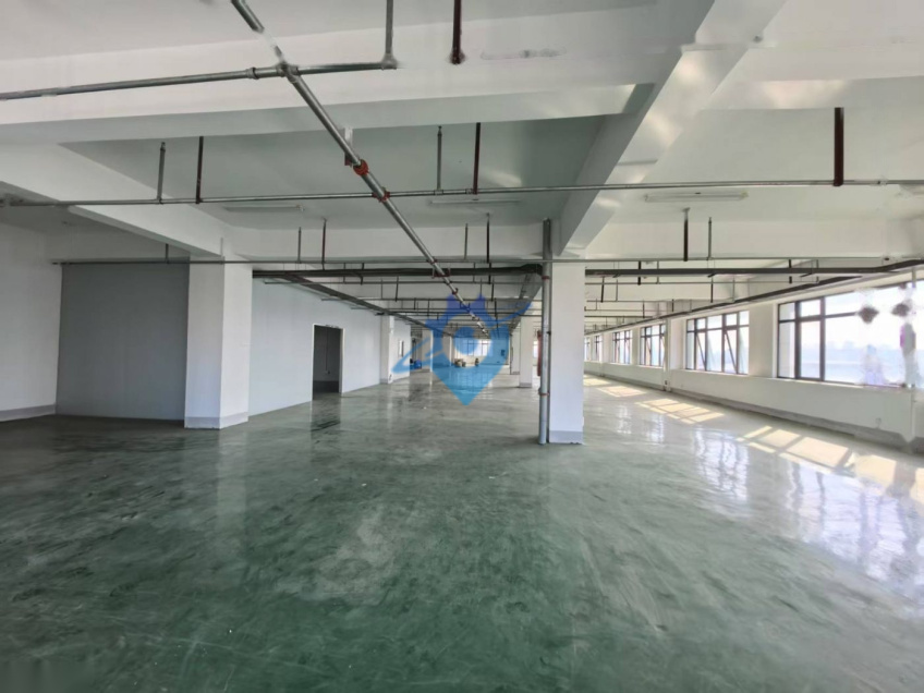 新站标准厂房300至920平,可分租,地坪已做办公室已隔