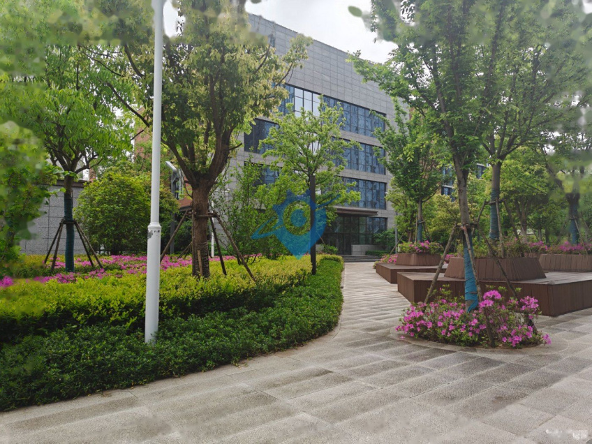 国企开发5200平独栋厂房花园式办公交通便利配套齐全