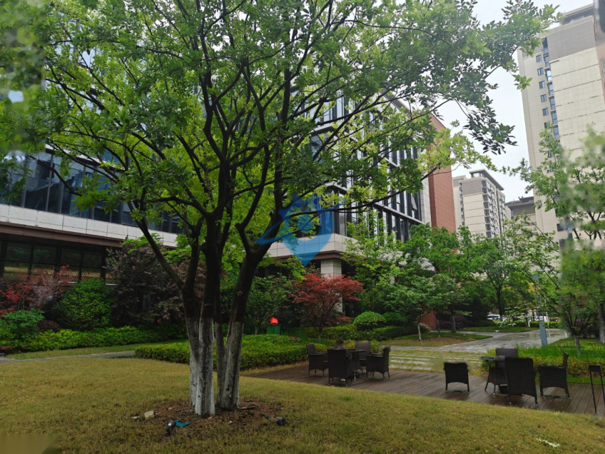 合肥市高新区独栋厂房出售近主干道四号线七号线地铁环境好配套齐全