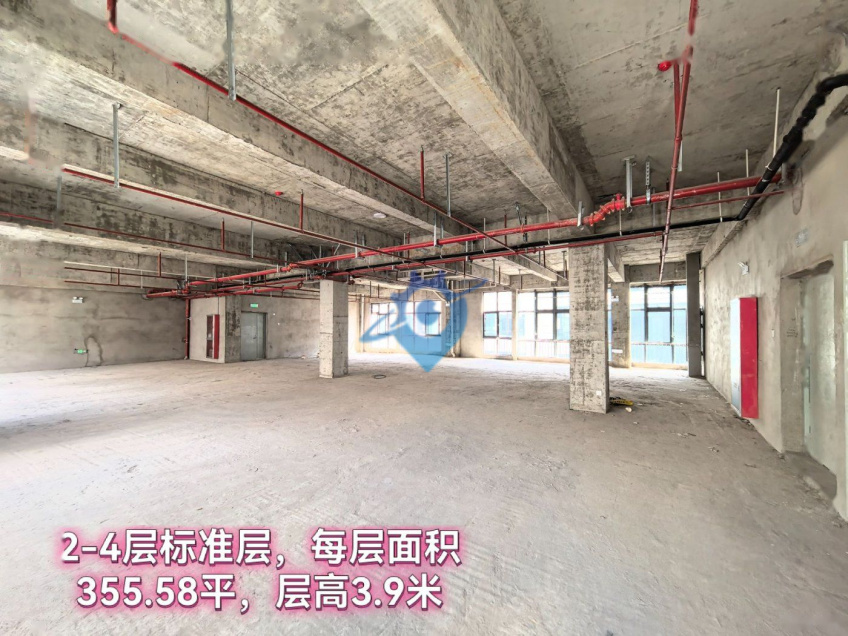 合肥政务区旁,花园式园区丨稀缺独栋在售,通燃气,独立电梯,地下车库直达